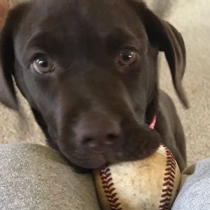 Meet your Posher, Evan